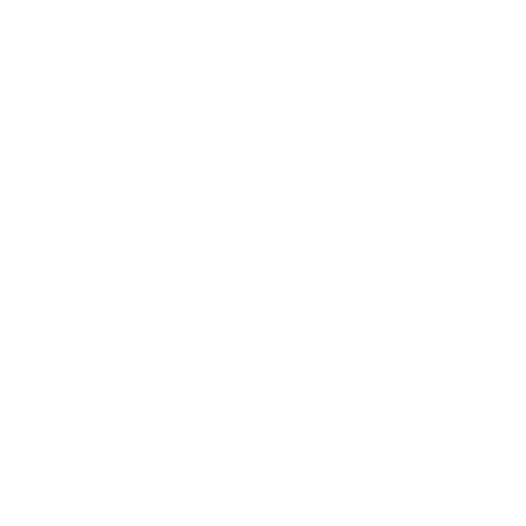 Mini boss
