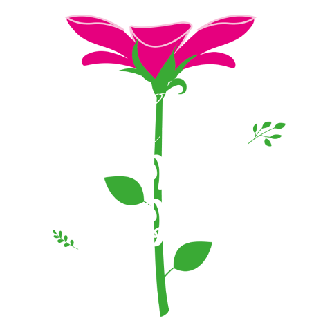 soy la flor más bella del jardín