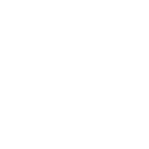  Juntos 20 /*posibilidad de cambiar la fecha