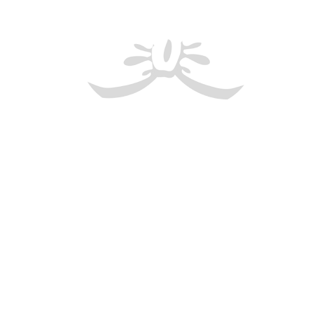  CENA DE Gala con la VECINITA