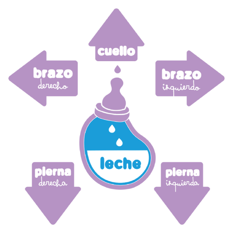 Leche/brazo izquierdo/cuello/brazo derecho/pierna izquierda/pierna derecha